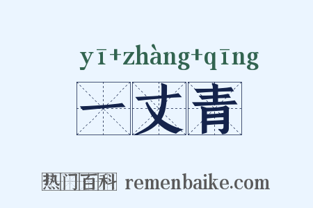 一丈青是什么意思的图片
